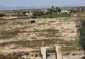 Chalet independiente con terreno en venta en Elche ref: TR403158 foto