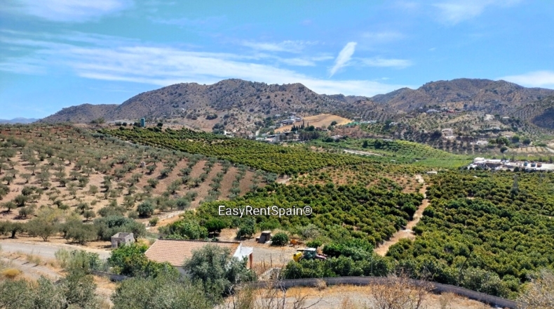 Málaga - Álora - 11000m2