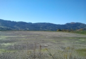 Land suitable for development for sale in Vergara ref: TR91277 photo