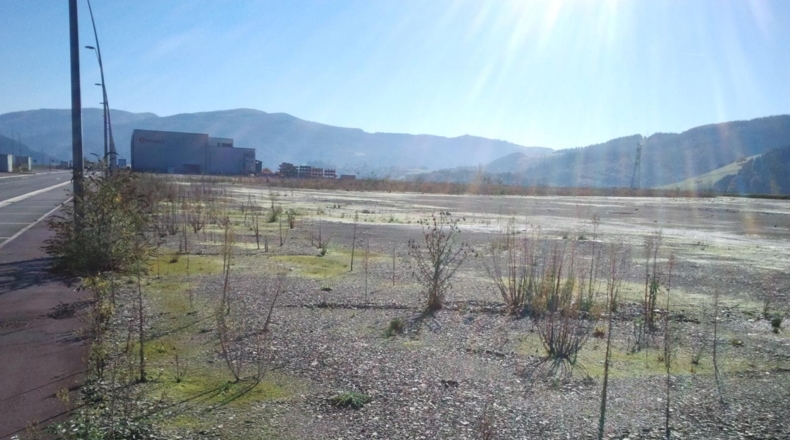 Guipúzcoa - Basalgo - 42882m2