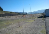 Land suitable for development for sale in Vergara ref: TR91277 photo