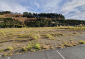 Land suitable for development for sale in Vergara ref: TR91277 photo