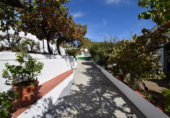 Village house for sale in Íllora ref: TR25808 photo