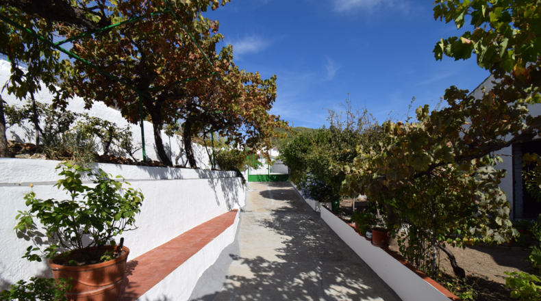 Granada - Íllora - 975m2