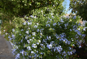 Foto 16