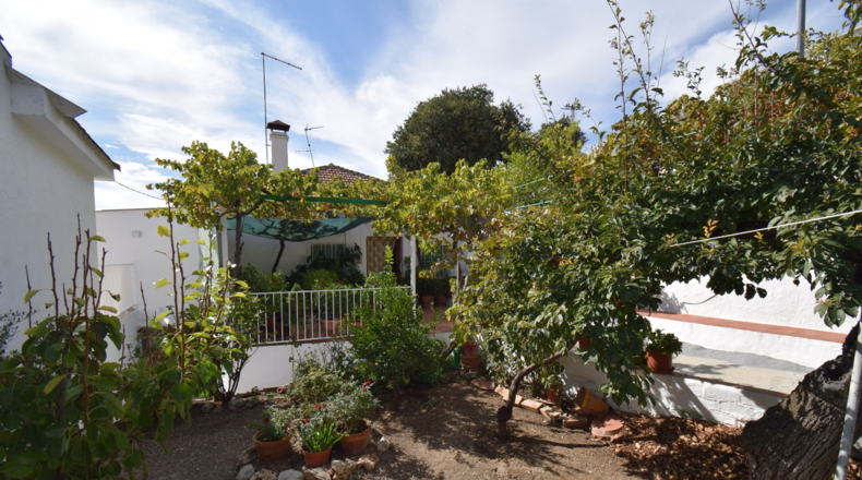 Granada - Íllora - 975m2