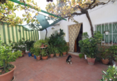 Village house for sale in Íllora ref: TR25808 photo