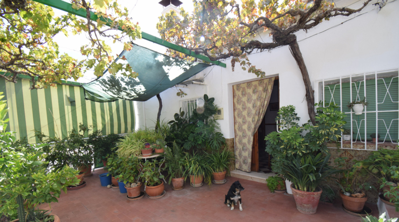 Granada - Íllora - 975m2