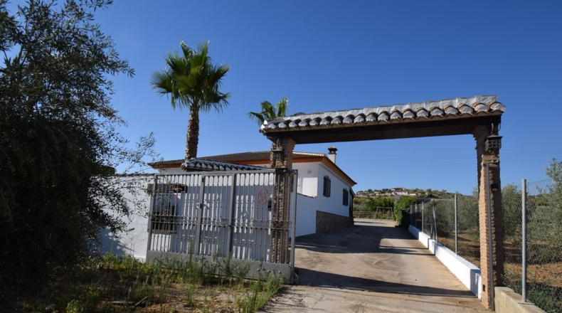 Granada - Loreto - 17141m2