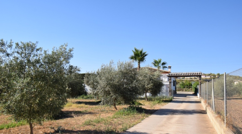 Granada - Loreto - 17141m2