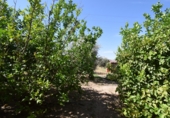 Casa de pueblo en venta en la Camino el Turro, Moraleda de Zafayona, ref: TR60288 foto
