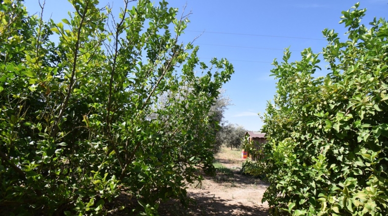 Granada - Loreto - 17141m2