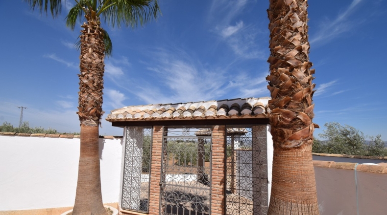 Granada - Loreto - 17141m2