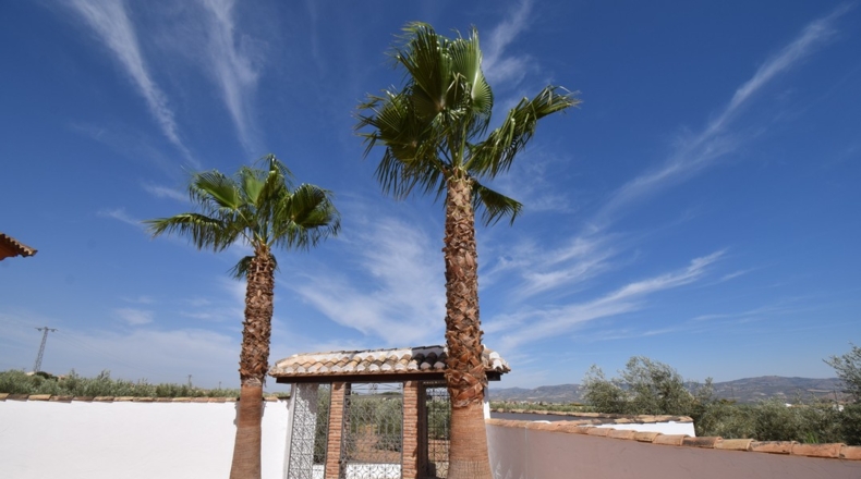 Granada - Loreto - 17141m2
