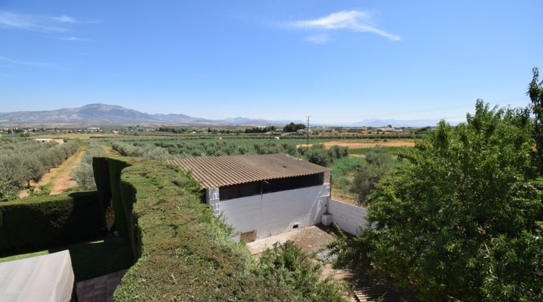 Granada - Loreto - 17141m2