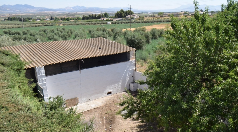 Granada - Loreto - 17141m2