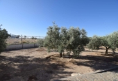 Casa de pueblo en venta en Moraleda de Zafayona ref: TR231354 foto