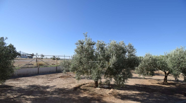 Granada - Moraleda de Zafayona - 3294m2