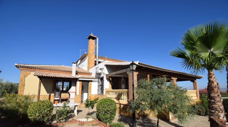 Granada - Moraleda de Zafayona - 3294m2