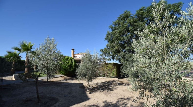 Granada - Moraleda de Zafayona - 3294m2
