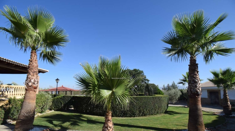 Granada - Moraleda de Zafayona - 3294m2