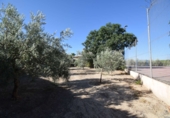 Casa de pueblo en venta en Moraleda de Zafayona ref: TR231354 foto