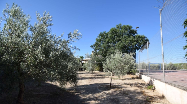 Granada - Moraleda de Zafayona - 3294m2