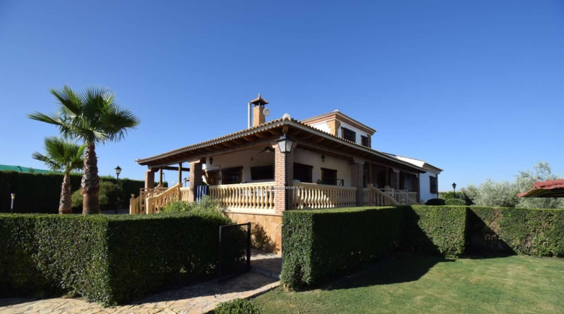 Granada - Moraleda de Zafayona - 3294m2