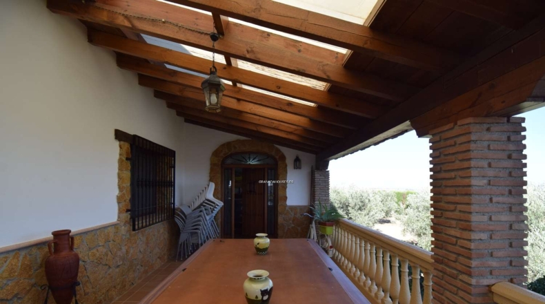 Granada - Moraleda de Zafayona - 3294m2
