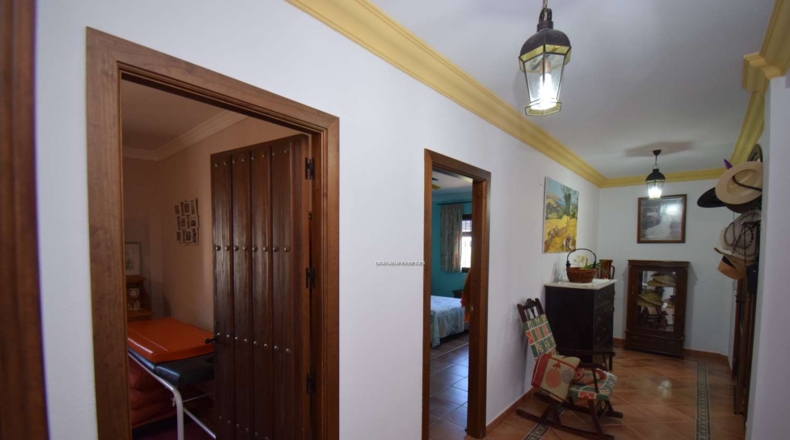 Granada - Moraleda de Zafayona - 3294m2