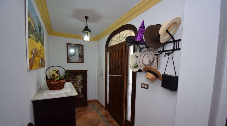 Granada - Moraleda de Zafayona - 3294m2