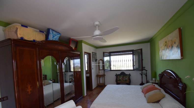 Granada - Moraleda de Zafayona - 3294m2
