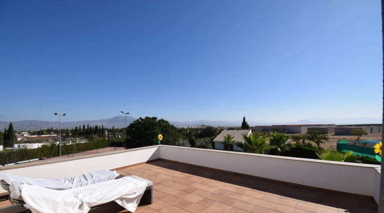 Granada - Moraleda de Zafayona - 3294m2