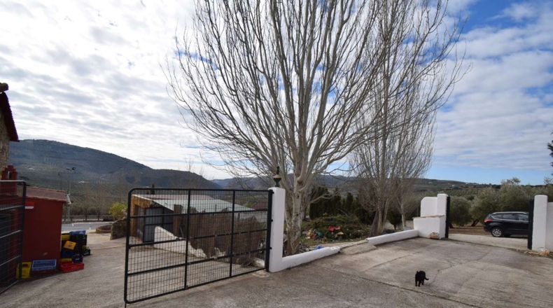 Granada - Tocón - 6477m2