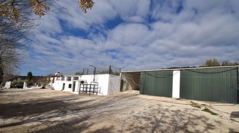 Granada - Tocón - 6477m2