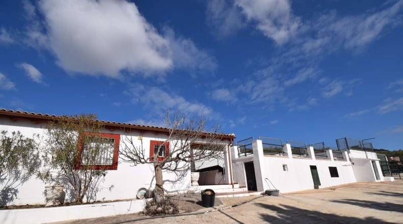 Granada - Tocón - 6477m2