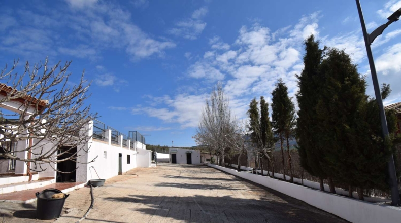 Granada - Tocón - 6477m2