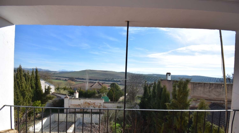 Granada - Íllora - 1884m2