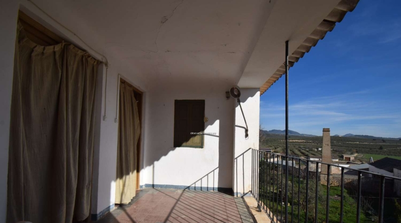 Granada - Íllora - 1884m2