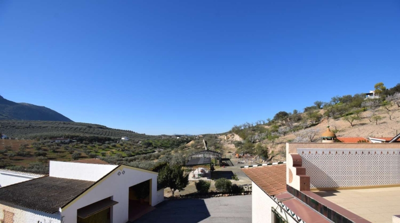 Granada - El Bujeo - 3100m2