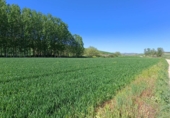 Дом с участком на продажу в городе Alcalá la Real Фото