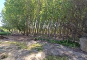 Дом с участком на продажу в городе Alcalá la Real Фото