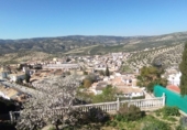 Дом с участком на продажу в городе Montefrío Фото