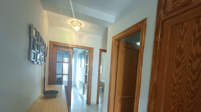 Granada - Montefrío - 710m2