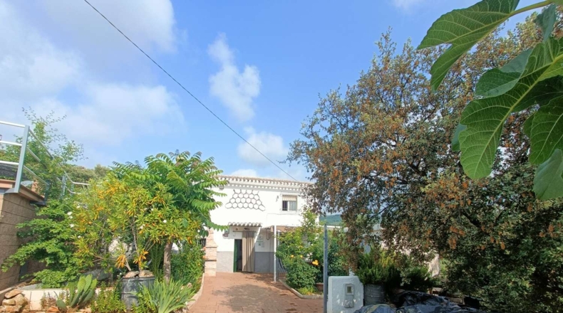 Granada - Montefrío - 1101m2