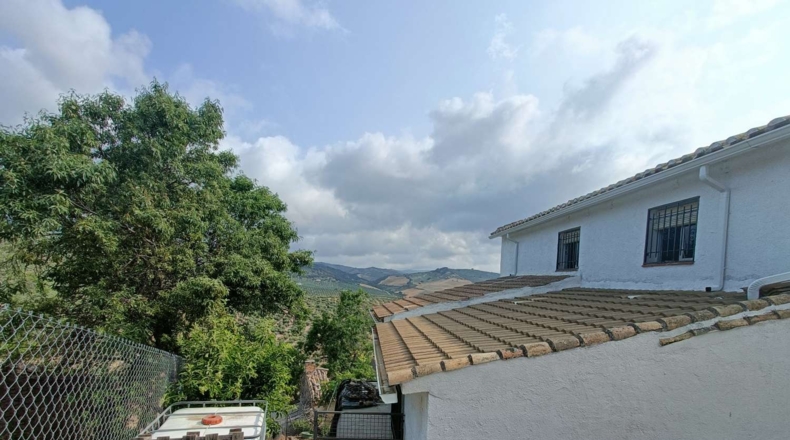 Granada - Montefrío - 1101m2