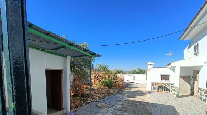 Granada - Loja - 3000m2
