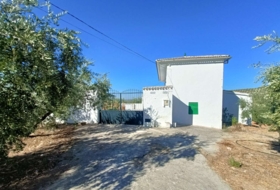 Loja 3000&nbsp;m²