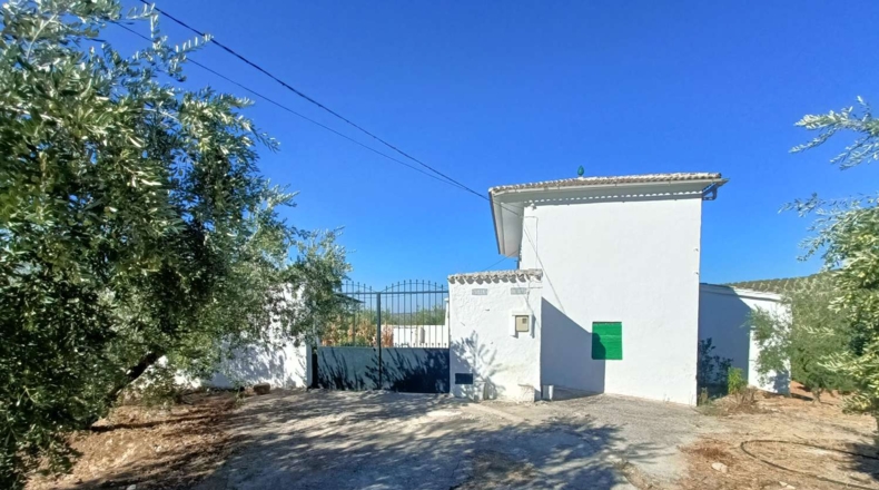Granada - Loja - 3000m2