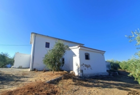 Loja 3000&nbsp;m²